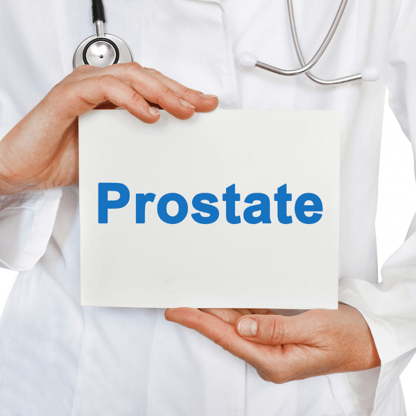 sonography of the prostate