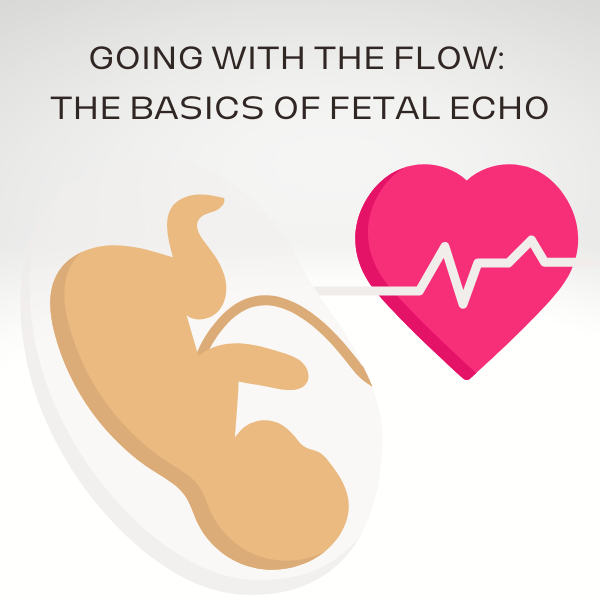 Basics Of Fetal Echo