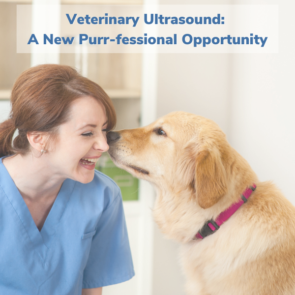 Veterinary Ultrasound: A New Purr-fessional Opportunity -